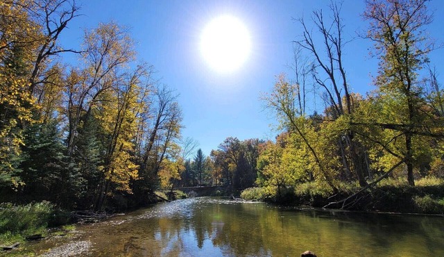 Beautiful home on Rifle River! Enjoy kayaking, outdoor fire, wildlife viewing
