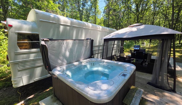 Bourbon St BlueBird Bus on 10 ACRES Dog Friendly