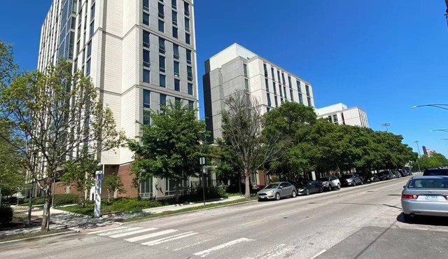 Bright Vintage U of C Center Condo with WiFi, AC in enjoyable Chicago