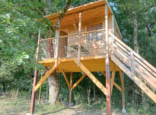 cabane perchée et le chêne