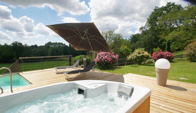 Charming gîte with heated pool and spa near the Marais Poitevin