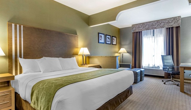 Comfort Suites Southgate-Detroit