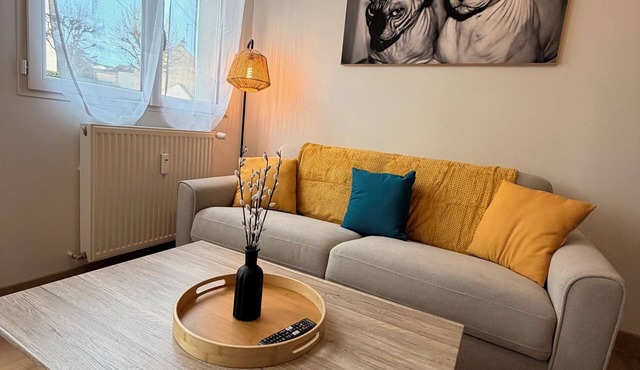 Cosy apartment in the heart of Le Mans