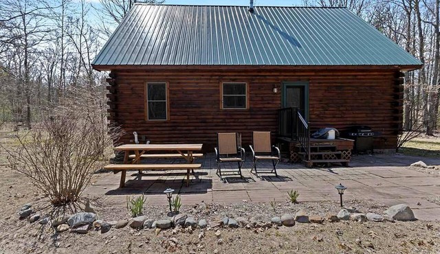 Cozy Forest Cabin with Fireplace Near Lake Michigan Beaches in Manistee, Michigan