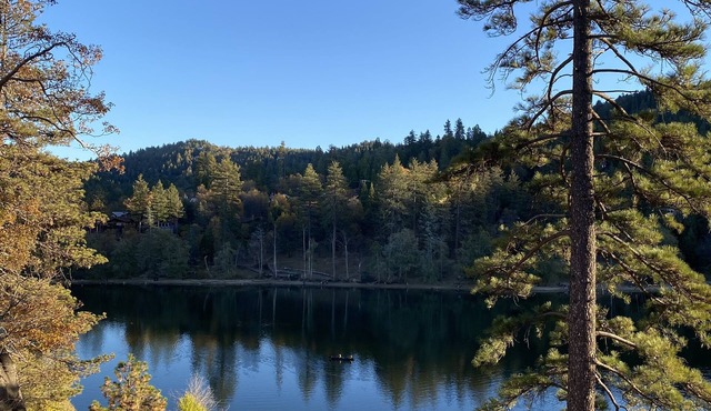Cozy Mountain Cabin Escape, 7 min to Lake Gregory in Crestline