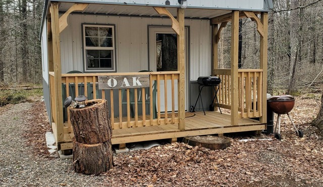 Cozy Northwoods Mini Cabin.*SAUNA/HOT TUB*ATV/SNOWMOBILE TRAILS*