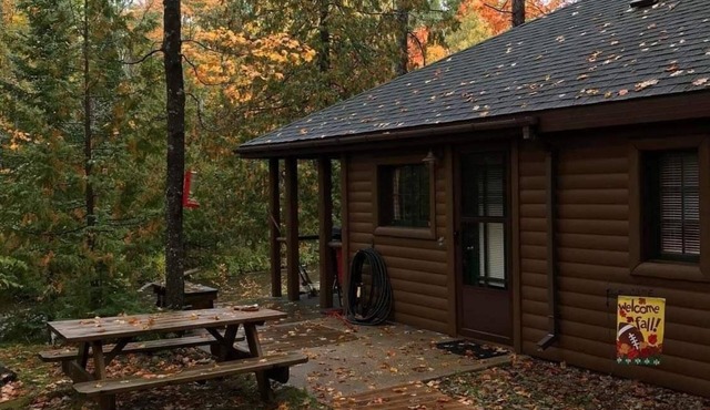 Cozy river cabin, steps away from blue ribbon fishing hiking trails.
