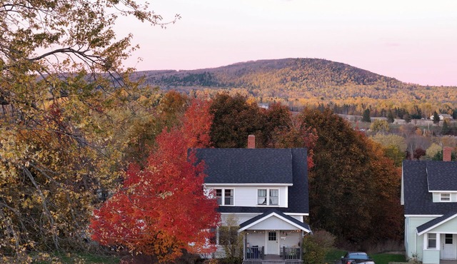 Downtown Antigonish - Entire 4 BR House + Garden in Antigonish