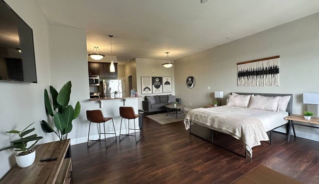 Downtown Penthouse Loft w/View