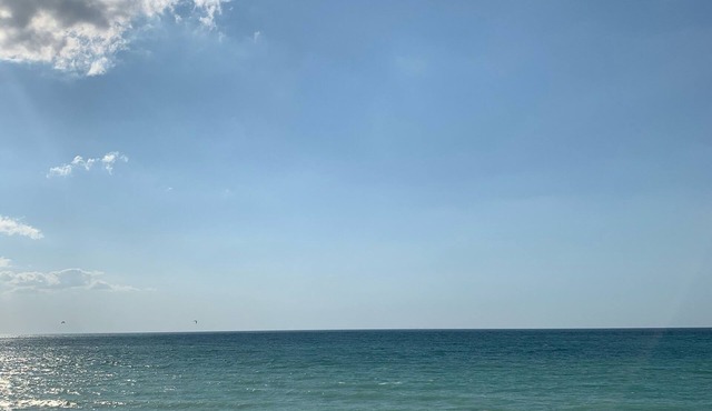 DunesWalk Inn at the Furness Mansion - Indiana Dunes - Sleeps 1-19