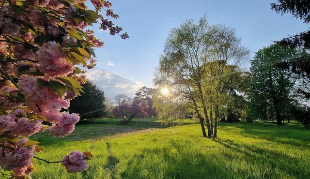 Exceptional pavilion with direct access to the grounds of the Château Royal de Benays