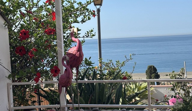 Feel-good atmosphere with a fantastic sea view