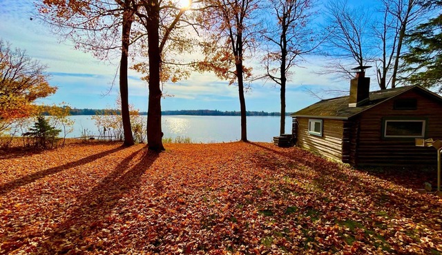 Fox Den: a cozy cabin up north