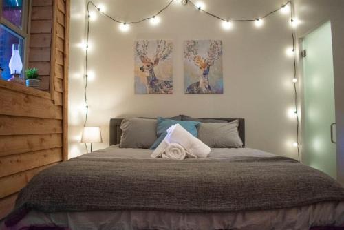 Great Parkside Microapartment Location AND Price in Cincinnati