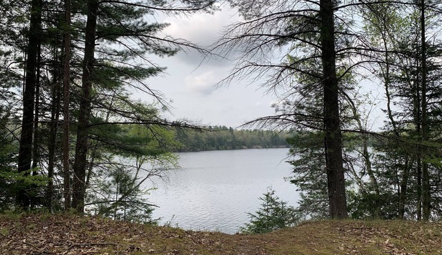 Hide out cozy Cabin Rental near Cooke Dam pond in Oscoda & budget friendly
