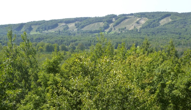 Highlands View Cottage A Perfect 4 Season Getaway