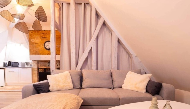 Historic Rennes - Exceptional apartment