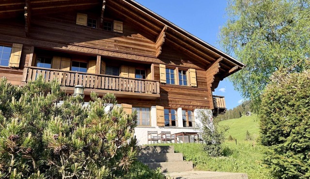 Hivernants Le Premier Appartement/Fewo, Dusche und Bad, WC 4-Bettwohnung by Interhome in Gstaad