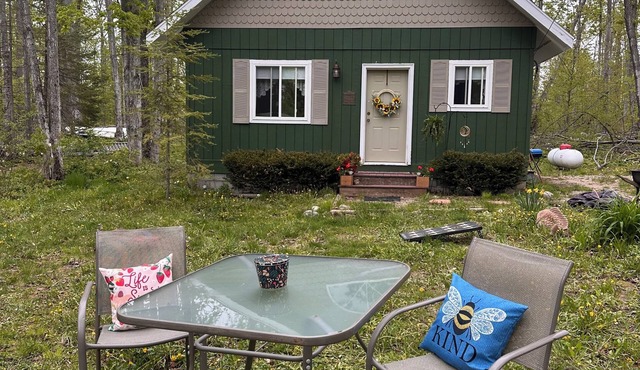 Horn HideAway: Wooded Cabin Retreat, Fire Pit, Lake Fun, Cozy, Sleeps 8, Pets!