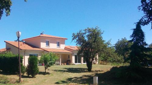 Le pin parasol