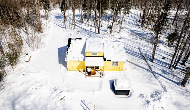 Lillie's Lil Cabin: Escape to the U.P. – Summer Fun for the Whole Family