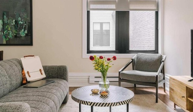 LIVN Millennium Park Downtown Chicago Prem Studio