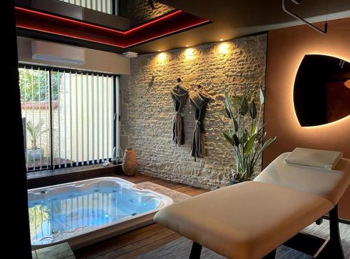 Loft TinPanAlley avec SPA - Marais Poitevin entre Niort et La Rochelle