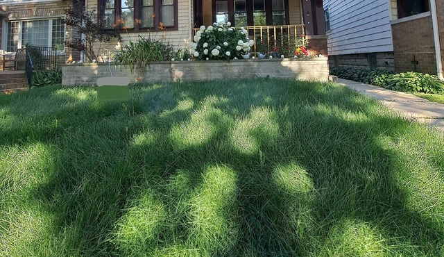 Mi Casa es su Casa 2