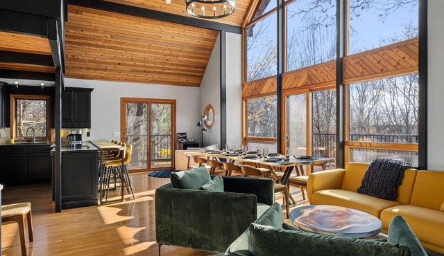 Modern Chalet 5bd 3bth with Hot Tub, Game Room, Private movie theater, 3 decks