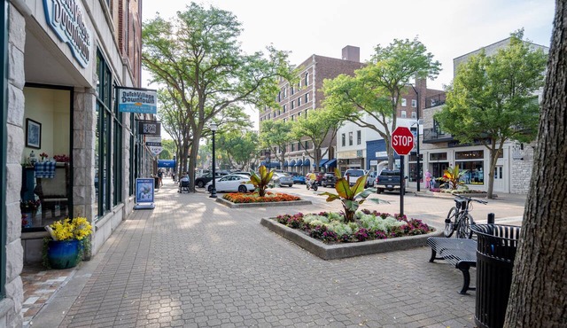 Modern Condo in Downtown Holland: The Ontario