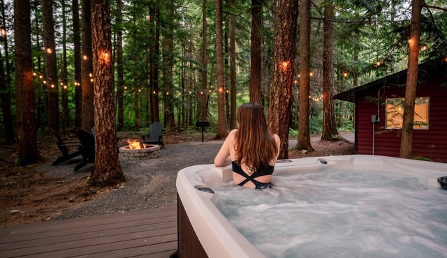 Modern Mt. Baker Cabin With NEW Private Hot Tub in Maple Falls