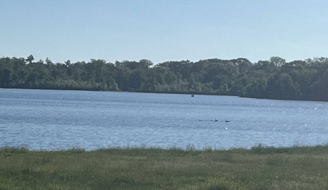 North Lakes chain waterfront home with private dock access.