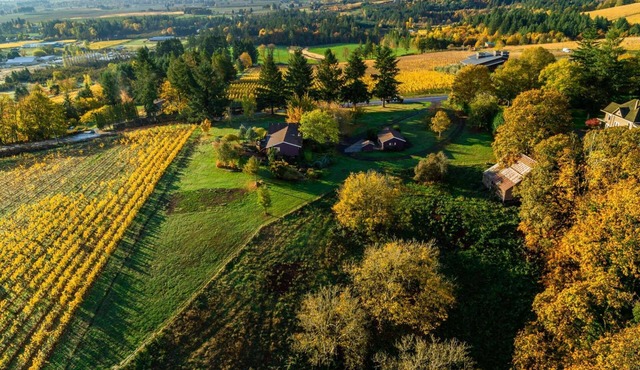Panoramic Vineyard Views, Pet Friendly, New Deck, Game Room, Ping Pong, Darts, Walk to Vineyards in Dundee
