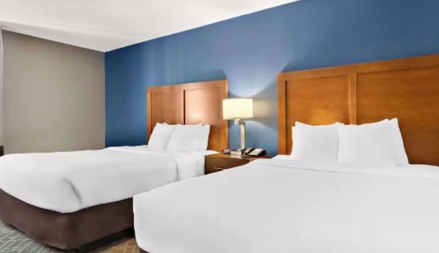 Pet-Friendly Hotel Stay Near Route 66 Raceway & Chicagoland Speedway