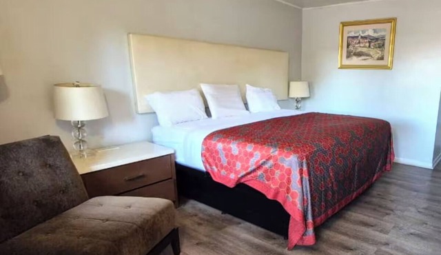 Pet-Friendly Room w/Free Parking – Great for Solo & Business Travelers