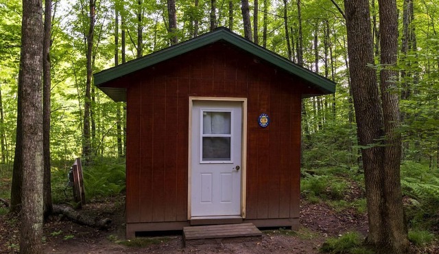 Quaint Cabin Surrounded by Nature for a Peaceful Retreat in White Lake, Wisconsin