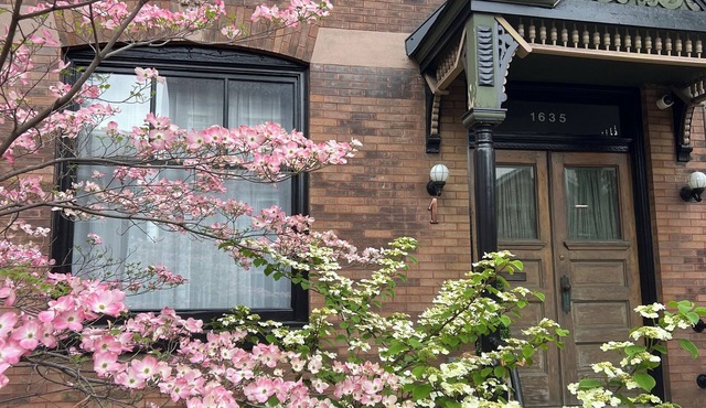 Rainbow Guest House: Charming 3-bedroom house in great location