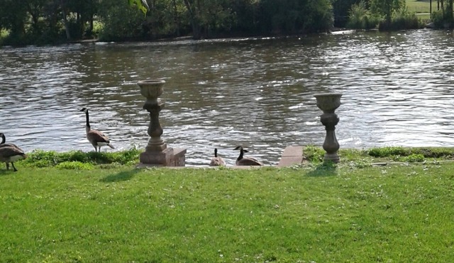 Riverfront rental