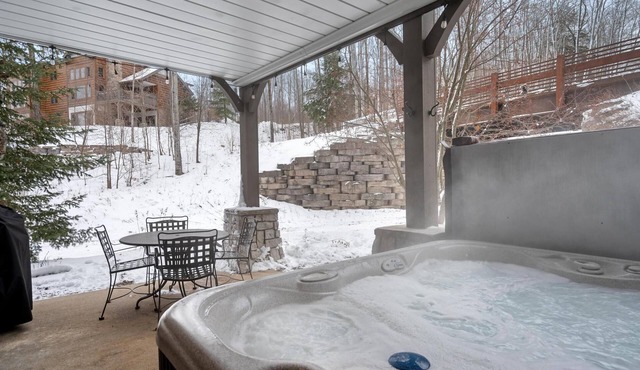 Ski-In/Ski-Out Creekside Condo with Private Hot Tub at Boyne Mountain
