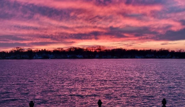 Spacious Lake front cottage, room for the whole family. Excellent fishing.