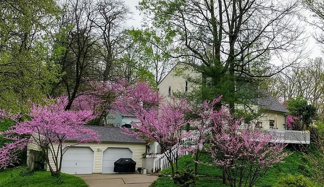 Spectacular Historic Home In The Heart Of It All!