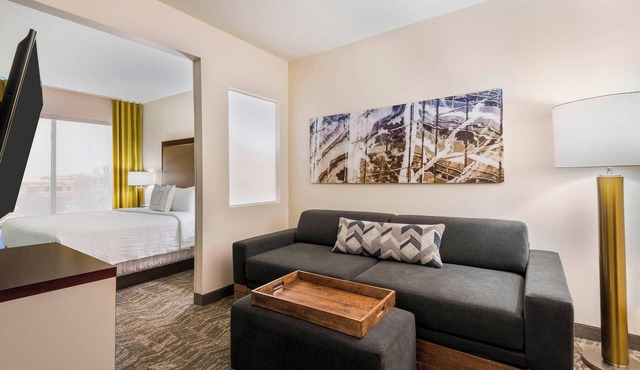 Springhill Suites By Marriott Indianapolis Carmel