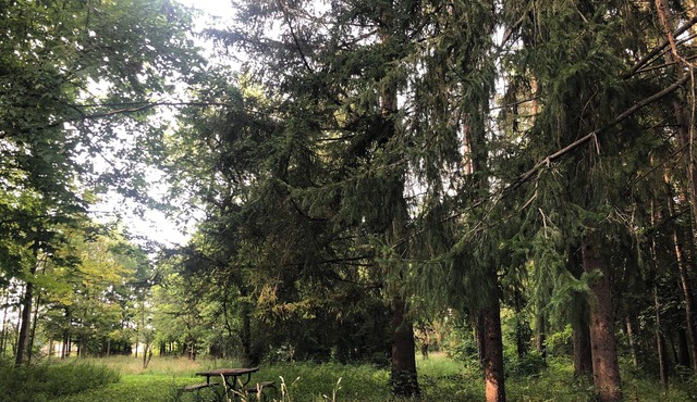 The Rustic Side in Delaware