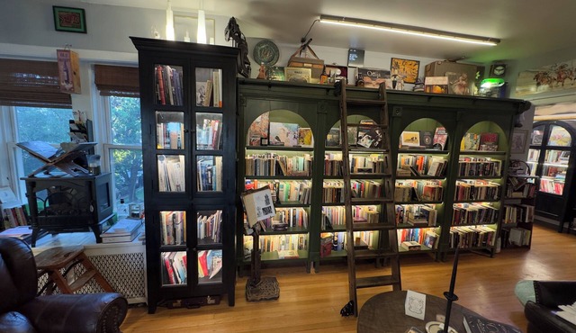 Tranquil Library near Brown Line 2 bed 1 bath vintage private unit @ Solar Lodge
