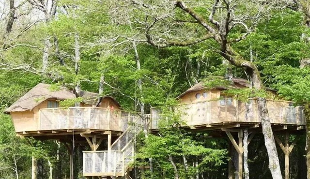 Treehouse for 4 People