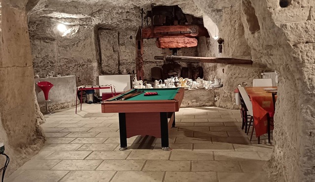 Troglodyte gîte in the heart of the Loire castles. Perfect for families.