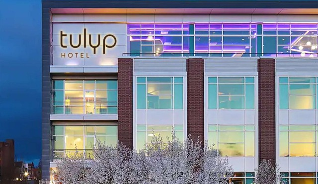 Tulyp, Tapestry Collection by Hilton