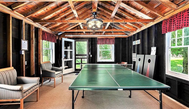 Twin Cottages at Mullett Lake - 25 minutes from Mackinac Ferry, Sleeps 12
