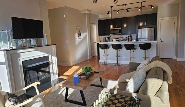 Updated 3 Bedroom Chicago Downtown Pilsen