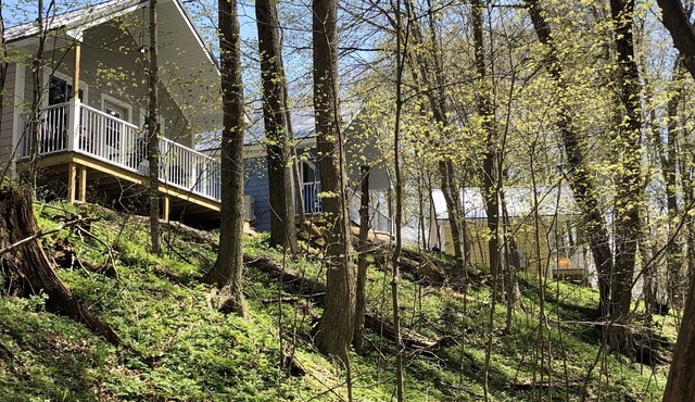 Winding Creek Cabins